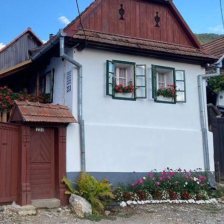 Casa Kelemen Iren 호텔 리메테아 외부 사진